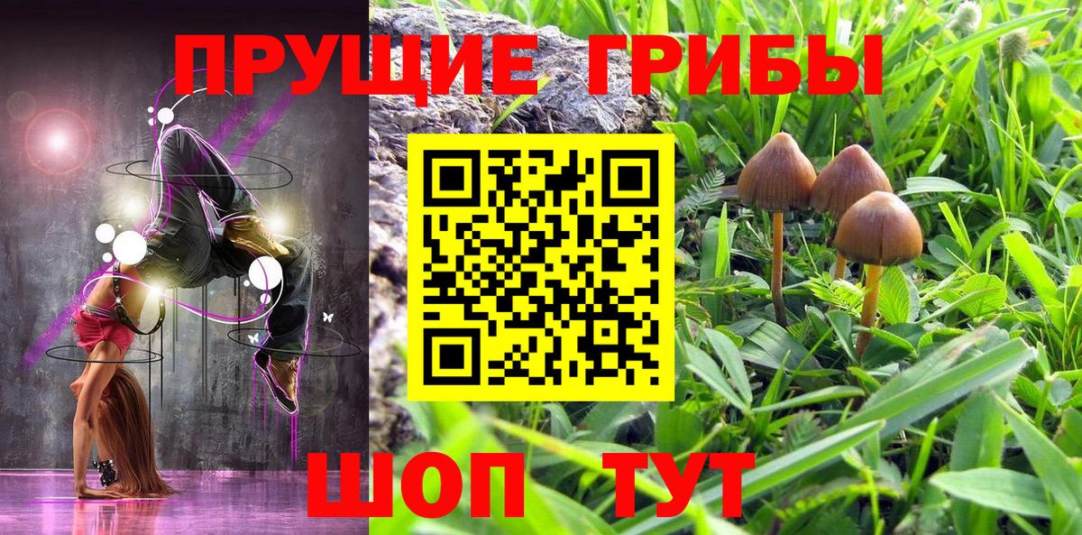 Псилоцибиновые грибы мицелий Лесосибирск