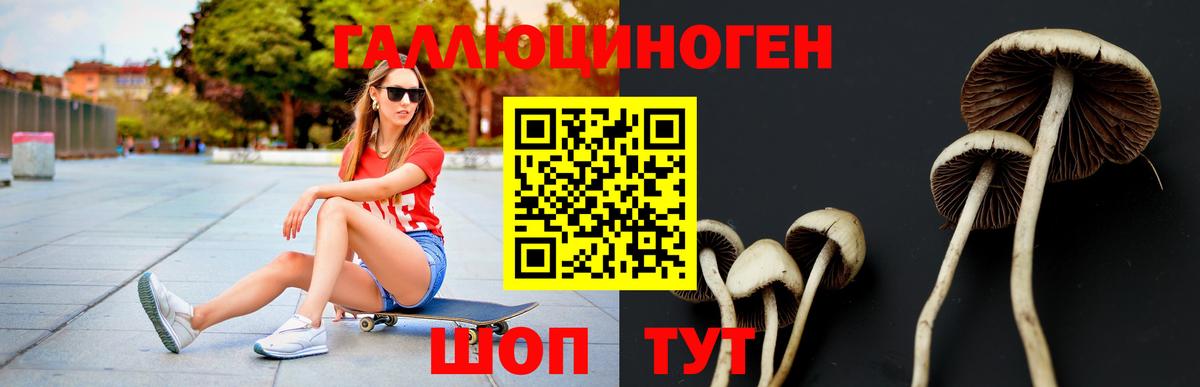 купить  сайты  Псилоцибиновые грибы мухоморы  Вход с VPN  Лесосибирск 